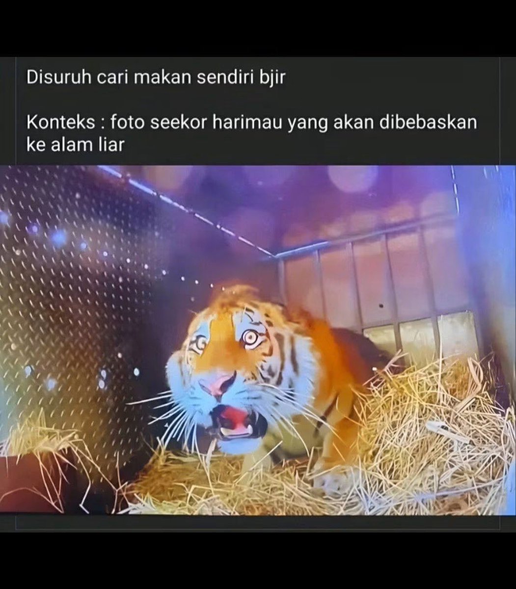 sosmedkeras's tweet photo. https://t.co/jEC105NDZ3
