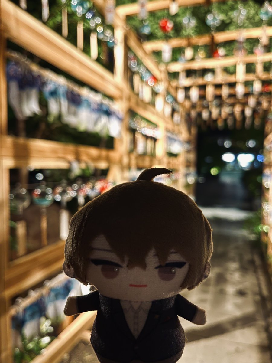 uytk0086's tweet photo. お友達また会えて嬉しいね、ゃちょぱぺちゃん🌷 https://t.co/EA71dnEvWH