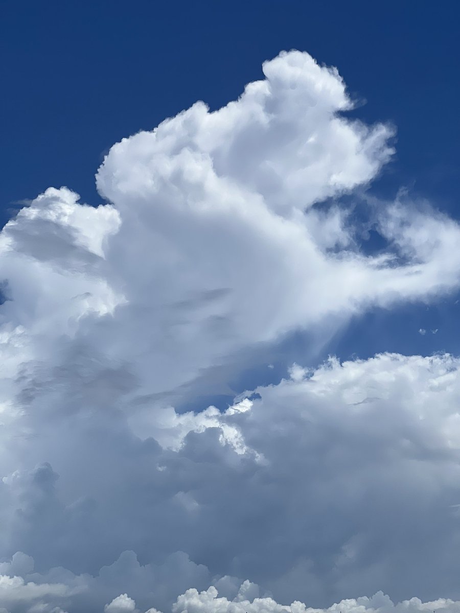 Nrtwd's tweet photo. 何気なく撮った雲をこんなに美しく感じるのは初めてかもしれない。 https://t.co/GmWZXExaUB