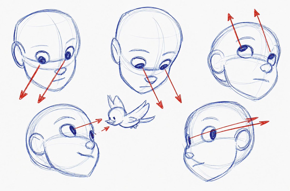 FormSketch_'s tweet photo. Eye direction changes with the angle of the head https://t.co/9rAC4Mlu9R