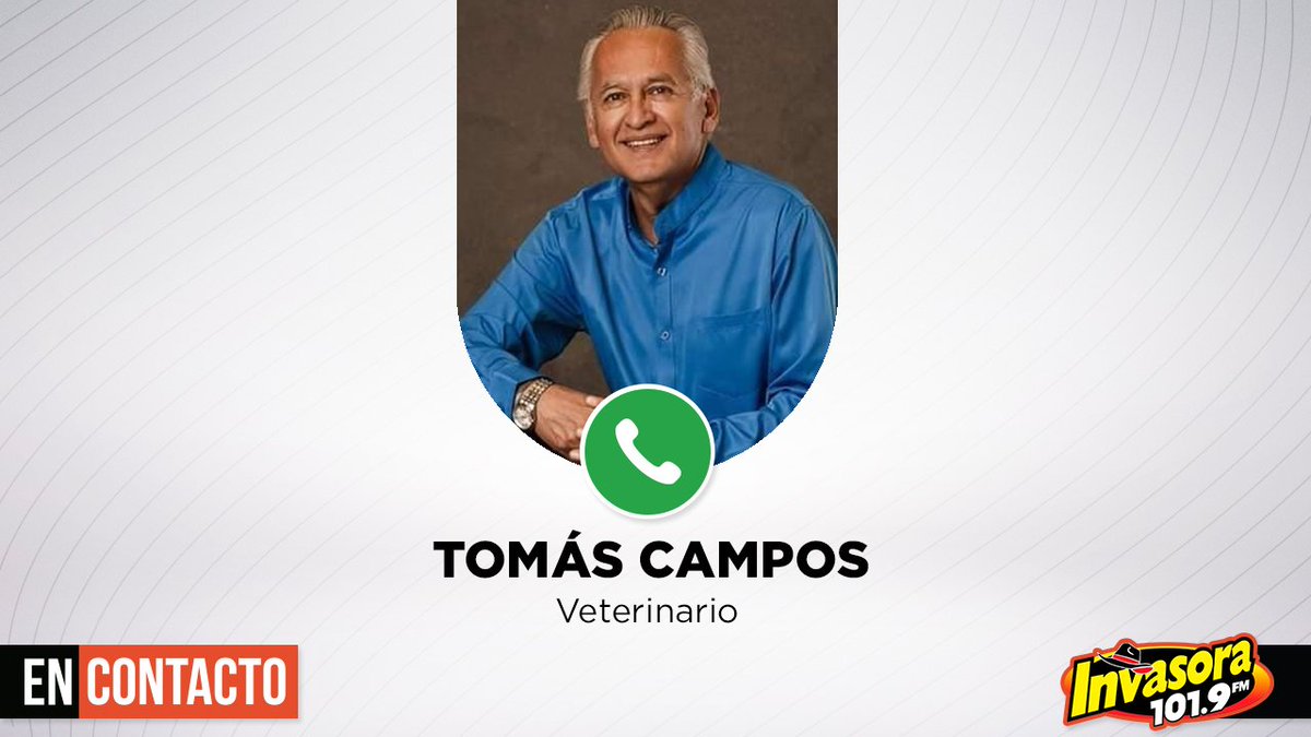 uniradiosonora's tweet photo. #EnContacto | Hoy en #EnContactoConTusMascotas, el veterinario Tomás Campos nos informa cómo proteger a perros y gatos en vacaciones con hidratación, cuidados y prevención.

Sigue a @Karina_BarrazaV en FB | https://t.co/FBNNmsLJgS📻🌻 https://t.co/IB0rDR1P7h