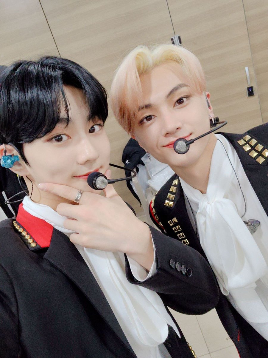 oosmsv's tweet photo. 세계 고양이의 날🐈🐈‍⬛ https://t.co/aoI4uwOdmQ