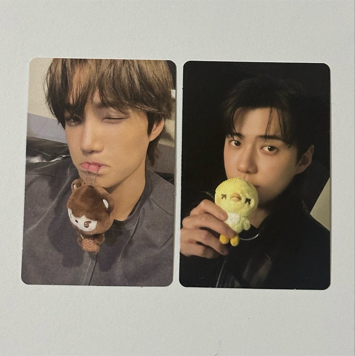 huncheek's tweet photo. 🐻🐥 https://t.co/hlDfiCCDWg