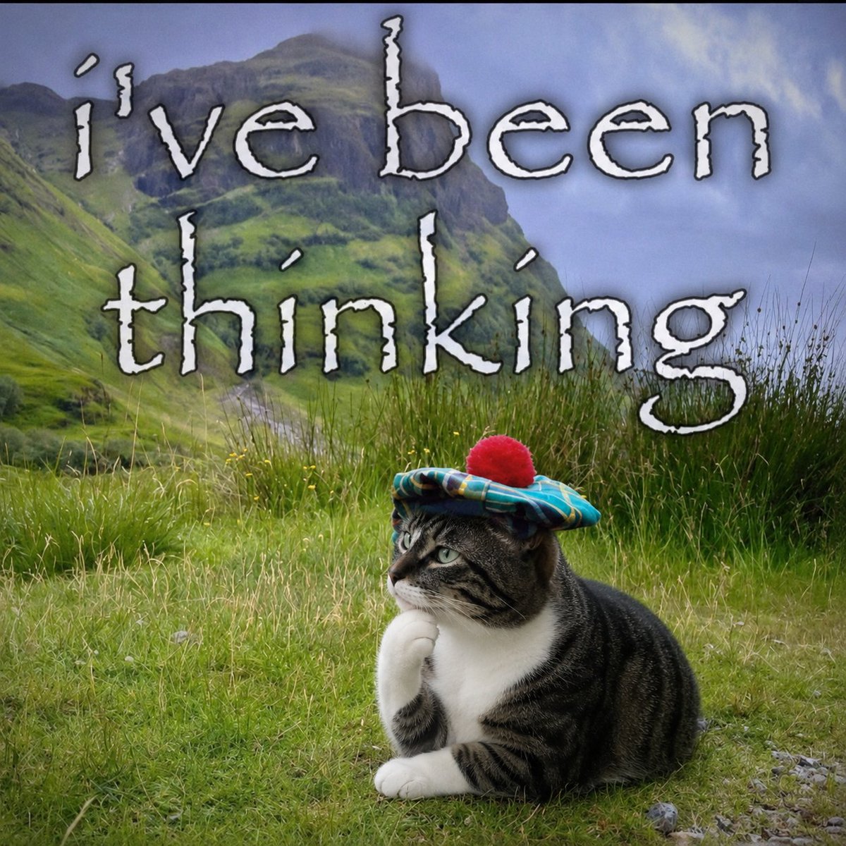 thinkingcatRH tweet picture