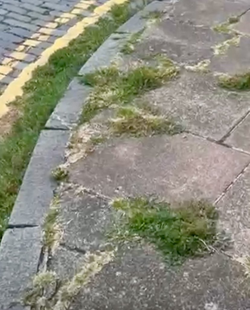 JamesMelville's tweet photo. Britain is rotting from within.

▪️Weeds on pavements.
▪️Potholes.
▪️Dirty streets.
▪️Boarded up shops.
▪️Rubbish everywhere.
▪️Blocked road drains.
▪️Filthy road signs. 

We are paying more tax to watch a country falling apart. https://t.co/QGXxAE3apd