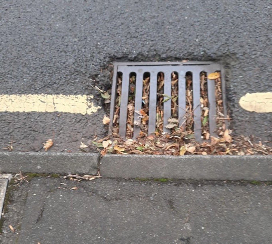 JamesMelville's tweet photo. Britain is rotting from within.

▪️Weeds on pavements.
▪️Potholes.
▪️Dirty streets.
▪️Boarded up shops.
▪️Rubbish everywhere.
▪️Blocked road drains.
▪️Filthy road signs. 

We are paying more tax to watch a country falling apart. https://t.co/QGXxAE3apd