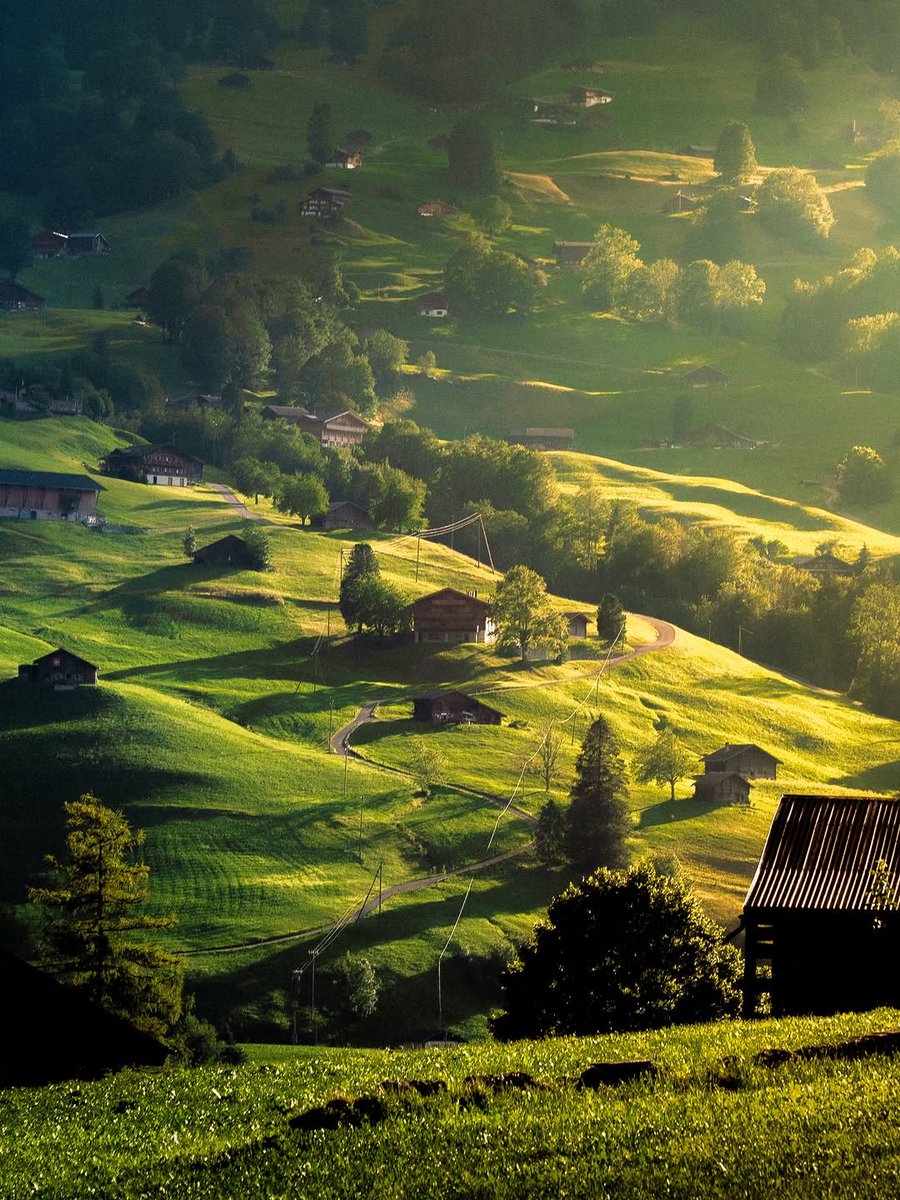 worldclick56's tweet photo. Switzerland 🇨🇭🍃 https://t.co/9yiCjOpc7c