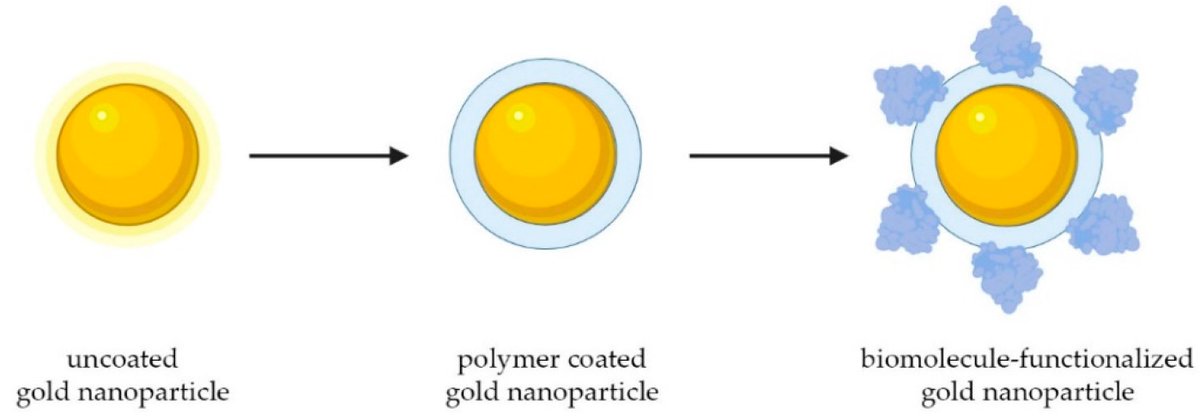 Biosensors_MDPI's tweet photo. 📣Call for Reading:
#Article
Copolymer-Coated Gold #Nanoparticles: Enhanced Stability and Customizable Functionalization for Biological #Assays
By Dario Brambilla, et al.
https://t.co/NEG60owo1f
#biosensor #open_access #polymer #biomolecule #bioassay #microarray #DNA https://t.co/7RfJRSsajp