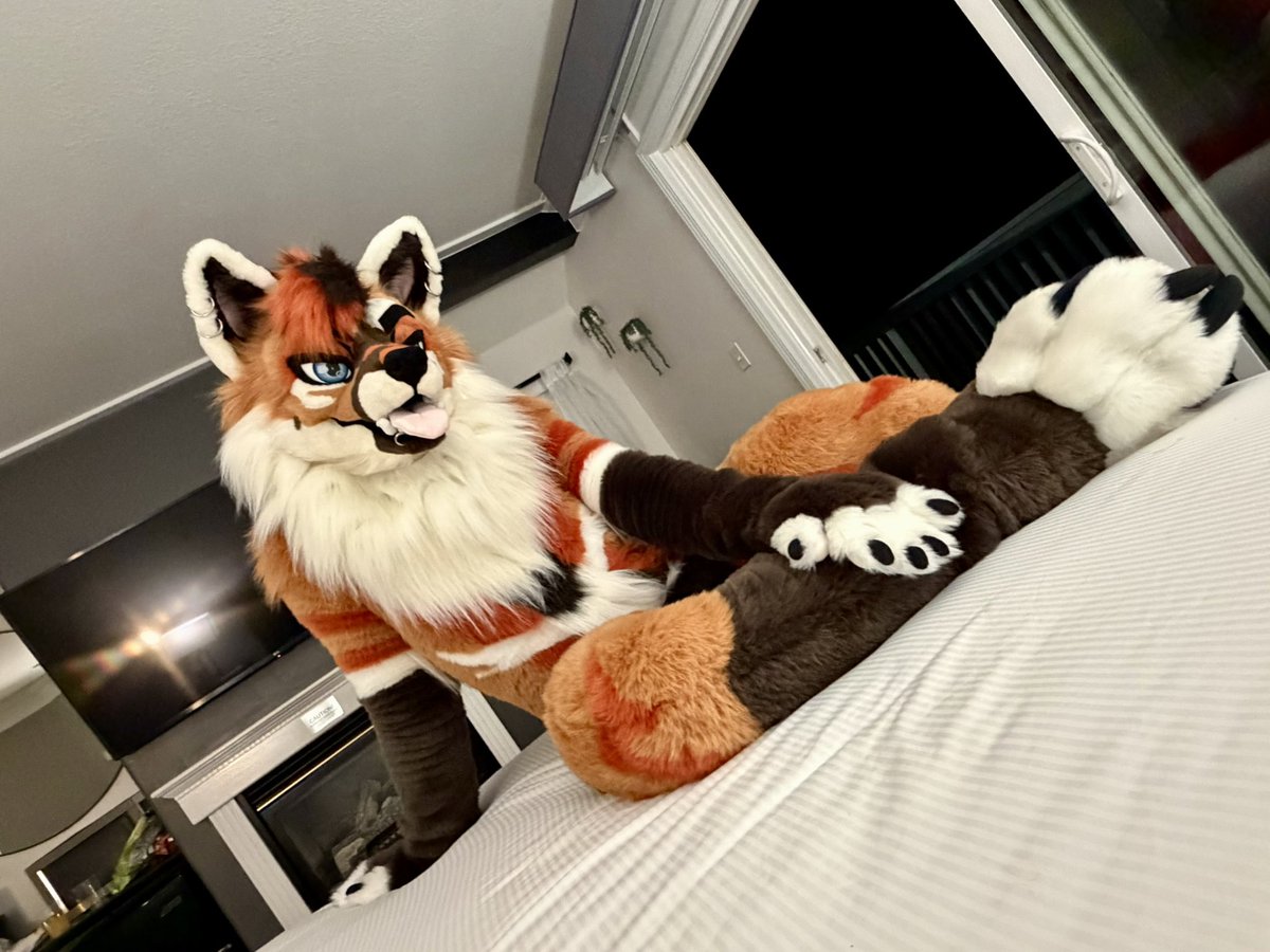 KaelanJinx's tweet photo. Wanna stay in bed and snug today?
#fursuitfriday https://t.co/t8j99YItq1