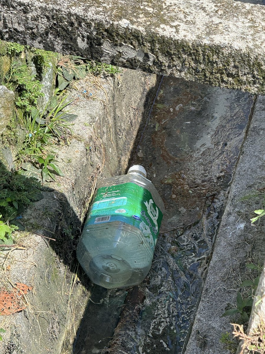 BVinolan's tweet photo. @pjcitycouncil , kawasan kelana jaya sekarang kes Denggi tinggi, puncanya juga melibatkan longkang tersumbat. Tolong bersihkan juga longkang tersumbat dan penuh dengan tumbuhan. Ini Kaw SS5D Kelana Jaya. Tempat lain pun sama. https://t.co/KzHyvirCPd