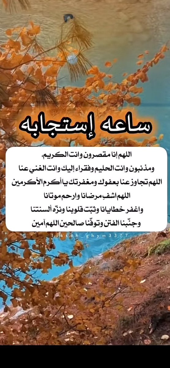 saudi5111111 tweet picture