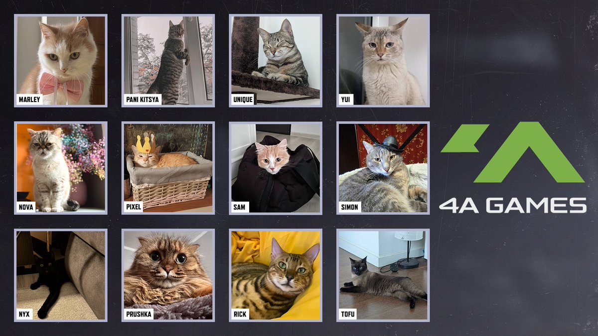 4AGames's tweet photo. On International Cat Day, we’d like to give a little shoutout to the furry assistants behind our team, so meet some of our colleagues’ cats!

The ones who keep a close eye on our calls, supervise our work from the keyboard, and remind us that sometimes it’s good to step away from the screen.

Thank you for your invaluable contribution to game development!