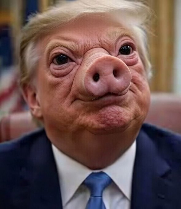 JimCollette7's tweet photo. @JayGenXer Such a phackin' pig!!!!! https://t.co/qTE8iEiuoG