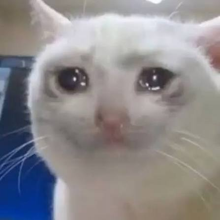 otherroleplayer's tweet photo. @Park_Br0s // me paso una vez que despues del coito pintaba rol wolsom y el contrario dejo de responderme, me quede un poco parecido a esto. https://t.co/mvNR7YTWiJ
