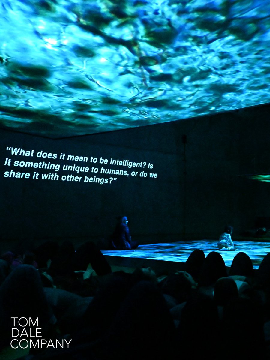 TomDaleCompany's tweet photo. Drift into a new dimension with More Than Human at Rochester Cathedral ✨

Lie back. Look up. A dialogue unfolds between dancer, light and machine. 

📅August 3 – 8, 2026
⏰10am – 4:30pm
📍Rochester Cathedral, ME1 1SX
🎟️Free entry https://t.co/s8G3mE4ACu