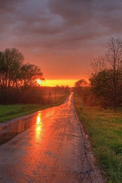 NatureandTrthm's tweet photo. Golden road beautiful ❤️ https://t.co/qvoPRSEgWW