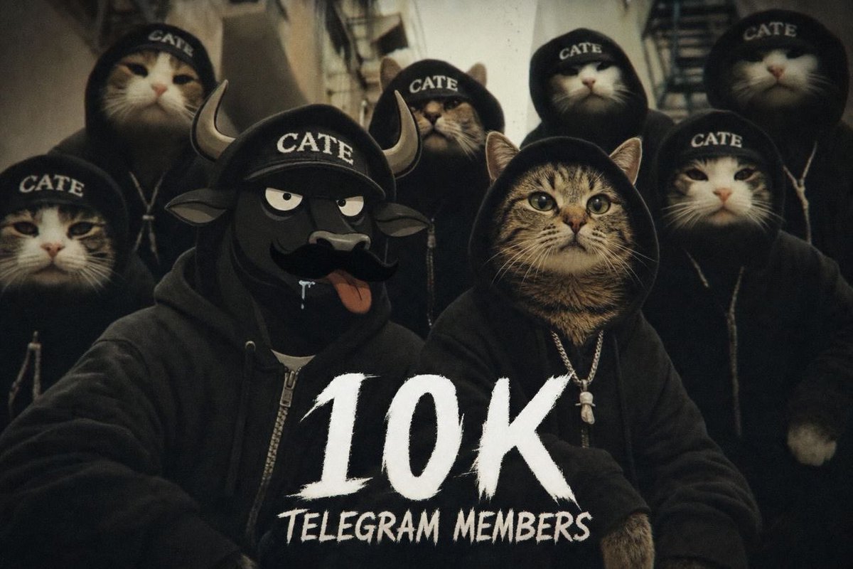 CateonSol_'s tweet photo. https://t.co/P1g3XUzhjP https://t.co/qnuVj5XYvM