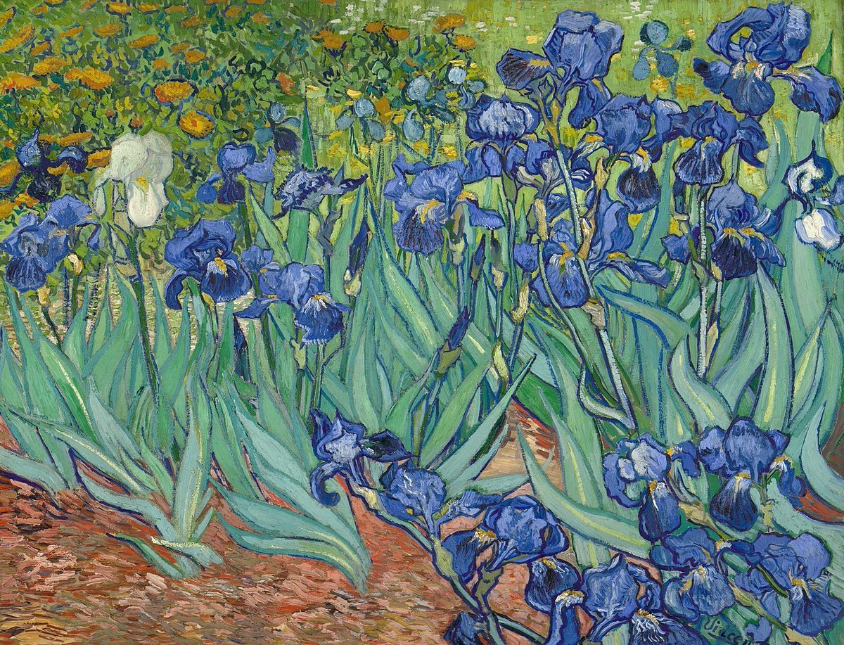 impression_ists's tweet photo. Vincent van Gogh, Irises https://t.co/B16UdhDYYB