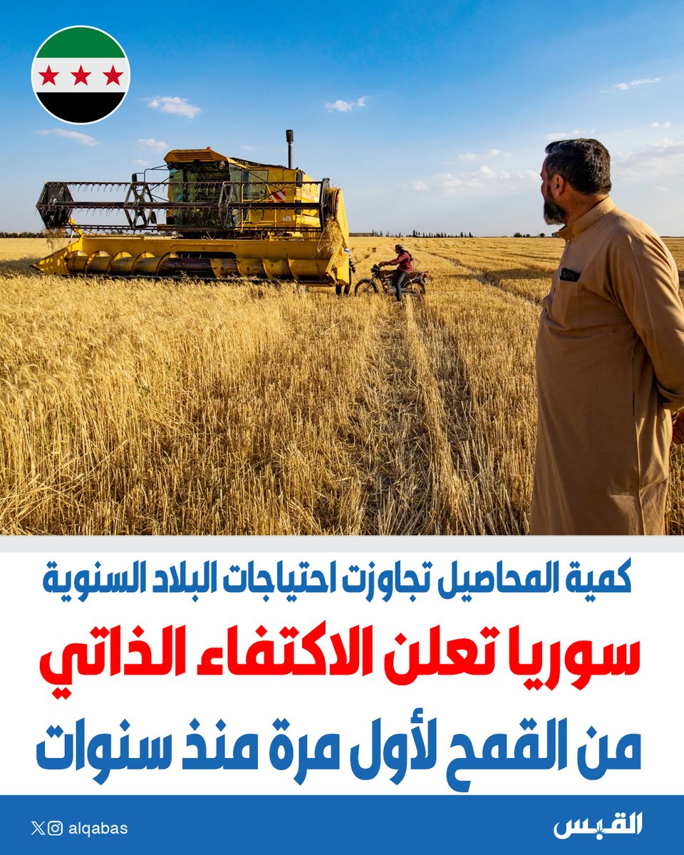 alqabas's tweet photo. #سوريا تعلن الاكتفاء الذاتي من القمح لأول مرة منذ سنوات

• كمية المحاصيل تجاوزت احتياجات البلاد السنوية

https://t.co/U7fQUx76wP https://t.co/OzLfyzksMk