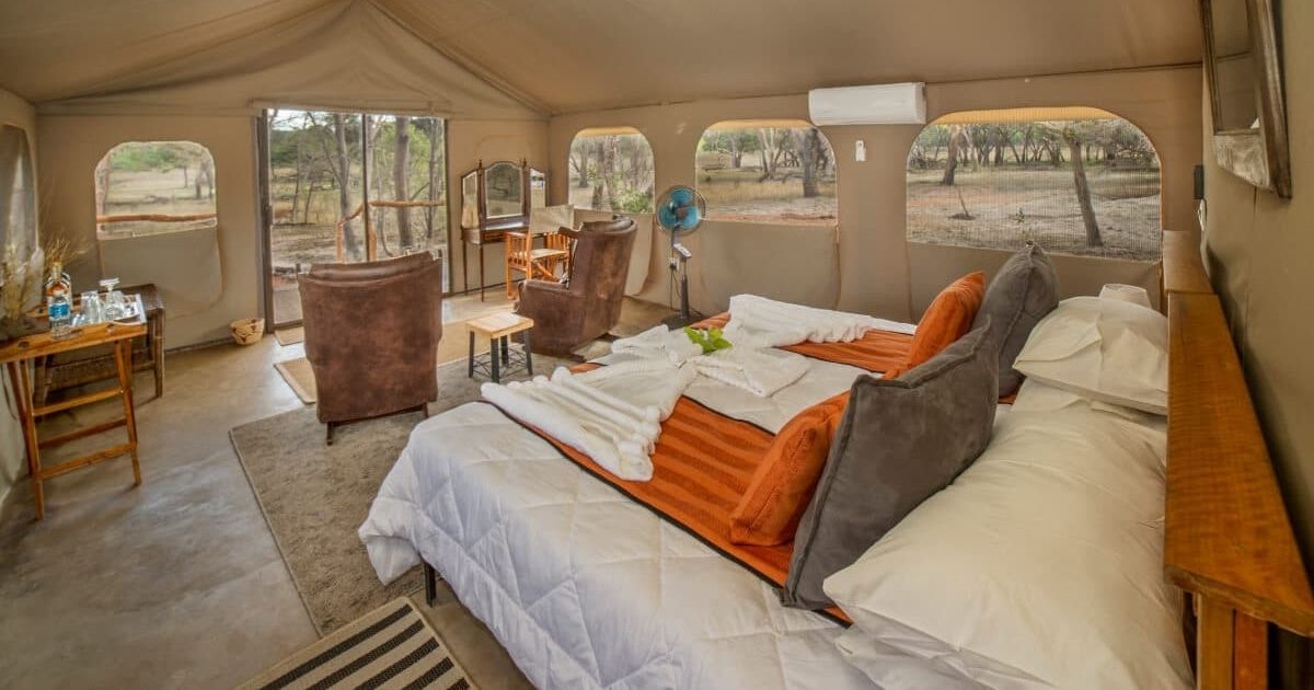 ZimTravelHub's tweet photo. Zimbabwe’s glamping scene stretches from the spray of Victoria Falls to the shores of Lake Kariba, through the elephant-thick woodlands of Hwange and the remote river valleys of Mana Pools.

#zimbabwetravel #travel #tourism #holiday #zimbabwe https://t.co/Q5mmQQNIQl