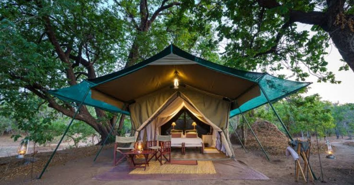 ZimTravelHub's tweet photo. Zimbabwe’s glamping scene stretches from the spray of Victoria Falls to the shores of Lake Kariba, through the elephant-thick woodlands of Hwange and the remote river valleys of Mana Pools.

#zimbabwetravel #travel #tourism #holiday #zimbabwe https://t.co/Q5mmQQNIQl