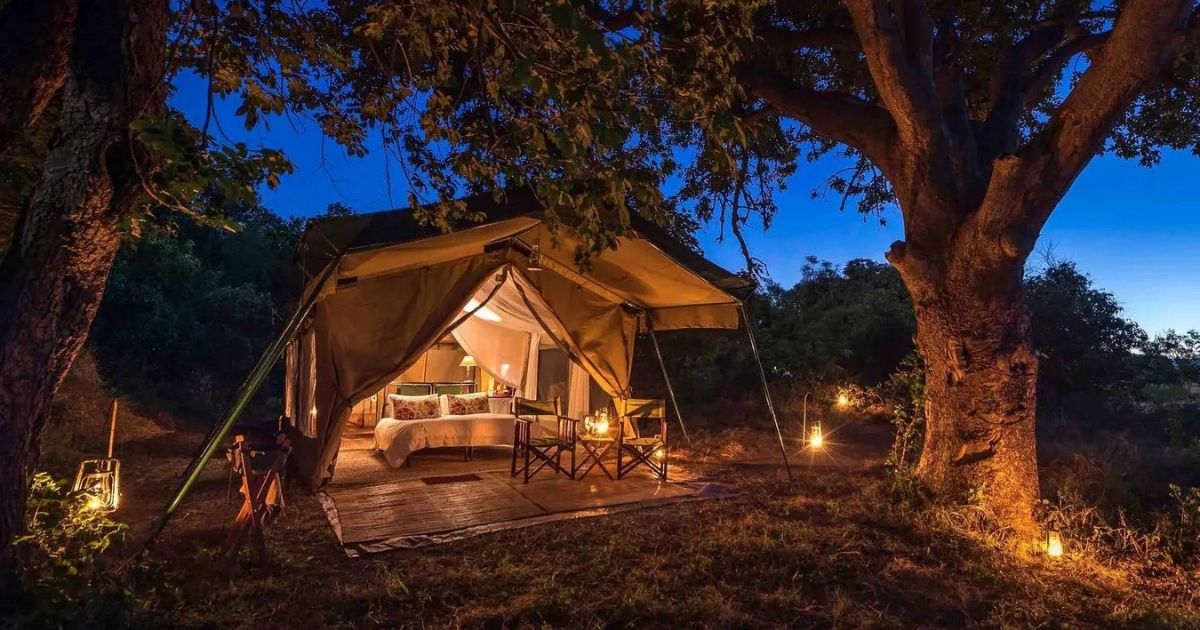ZimTravelHub's tweet photo. Zimbabwe’s glamping scene stretches from the spray of Victoria Falls to the shores of Lake Kariba, through the elephant-thick woodlands of Hwange and the remote river valleys of Mana Pools.

#zimbabwetravel #travel #tourism #holiday #zimbabwe https://t.co/Q5mmQQNIQl