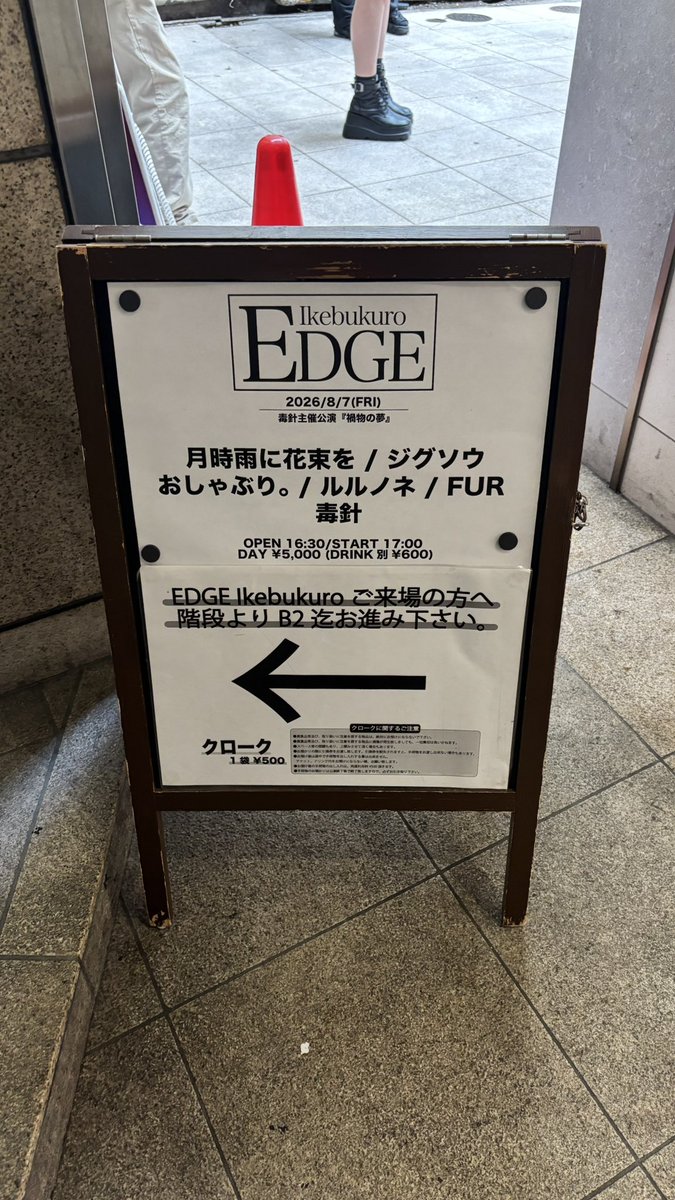 hattigorou's tweet photo. .*･ﾟ　.ﾟ･*..🐬*･ﾟ🐬　.ﾟ･*. https://t.co/veRUrCNR0N