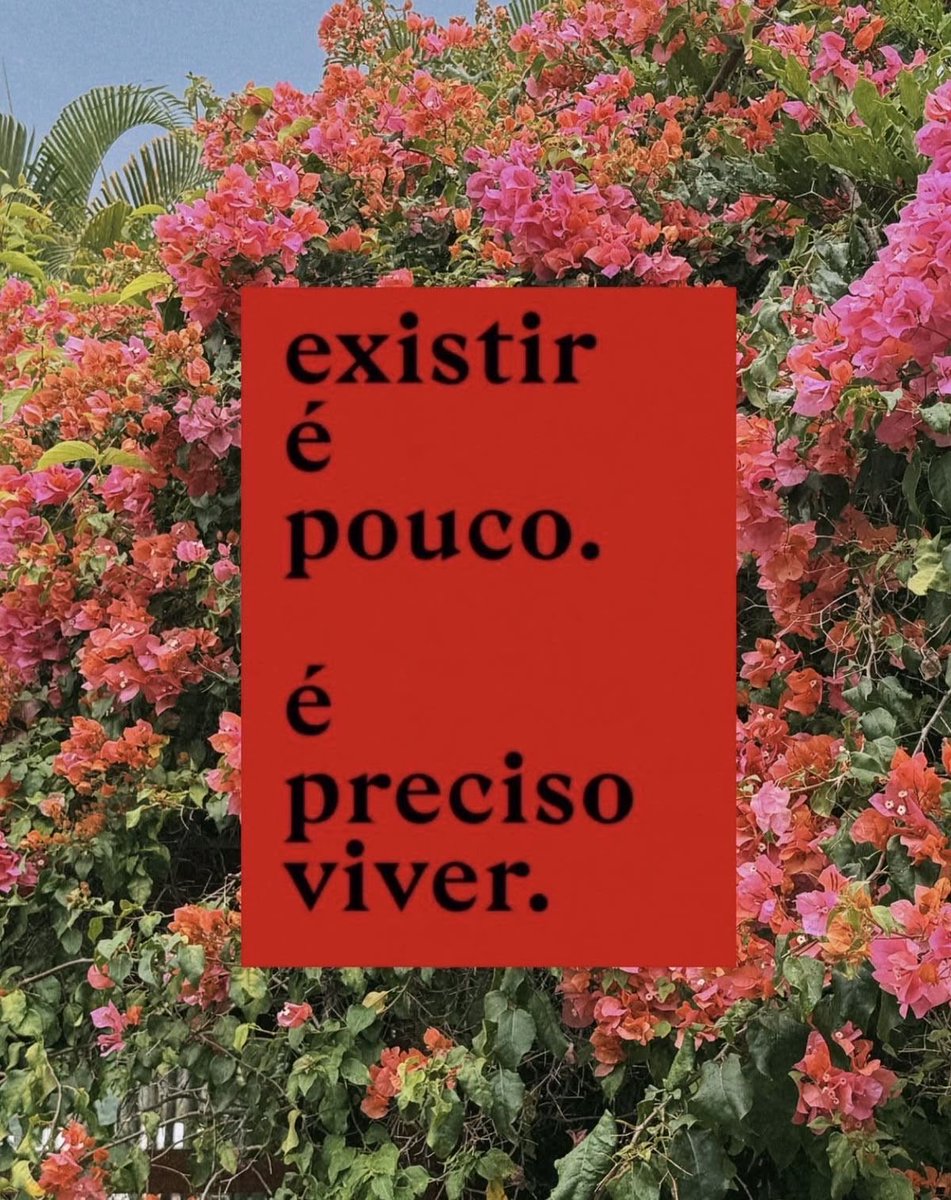 sofiamendoncaa's tweet photo. https://t.co/tIAl6BBf3H
