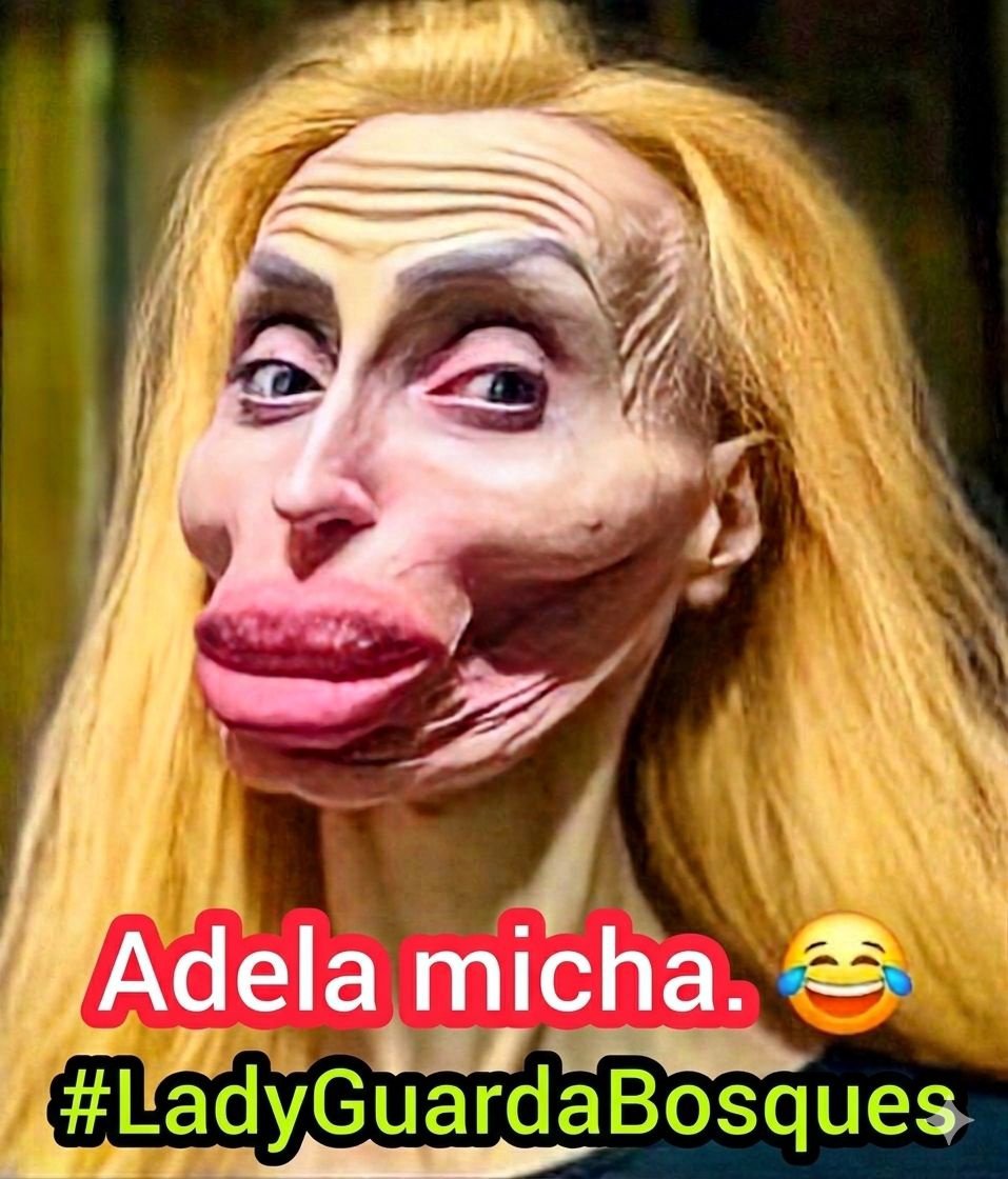 Brytney75192491's tweet photo. @Humanismo4T @RicardoBSalinas @JovConFuturo @Adela_Micha Respeten a sus mayores !!!
"no tarda en morirse ehh"
#LadyGuardaBosques
#LaPerritaDeLaPerritaDeTrump https://t.co/PJMMbA4phE