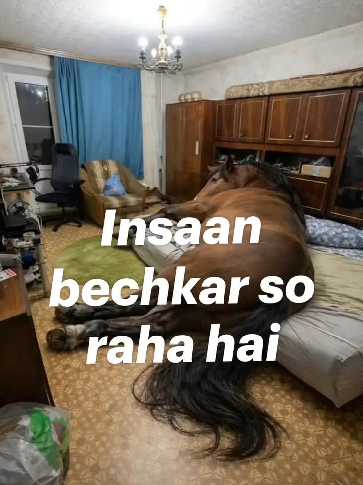 Pintuu0's tweet photo. Insaan bech kr sona 😭 https://t.co/MP1xijXh6d