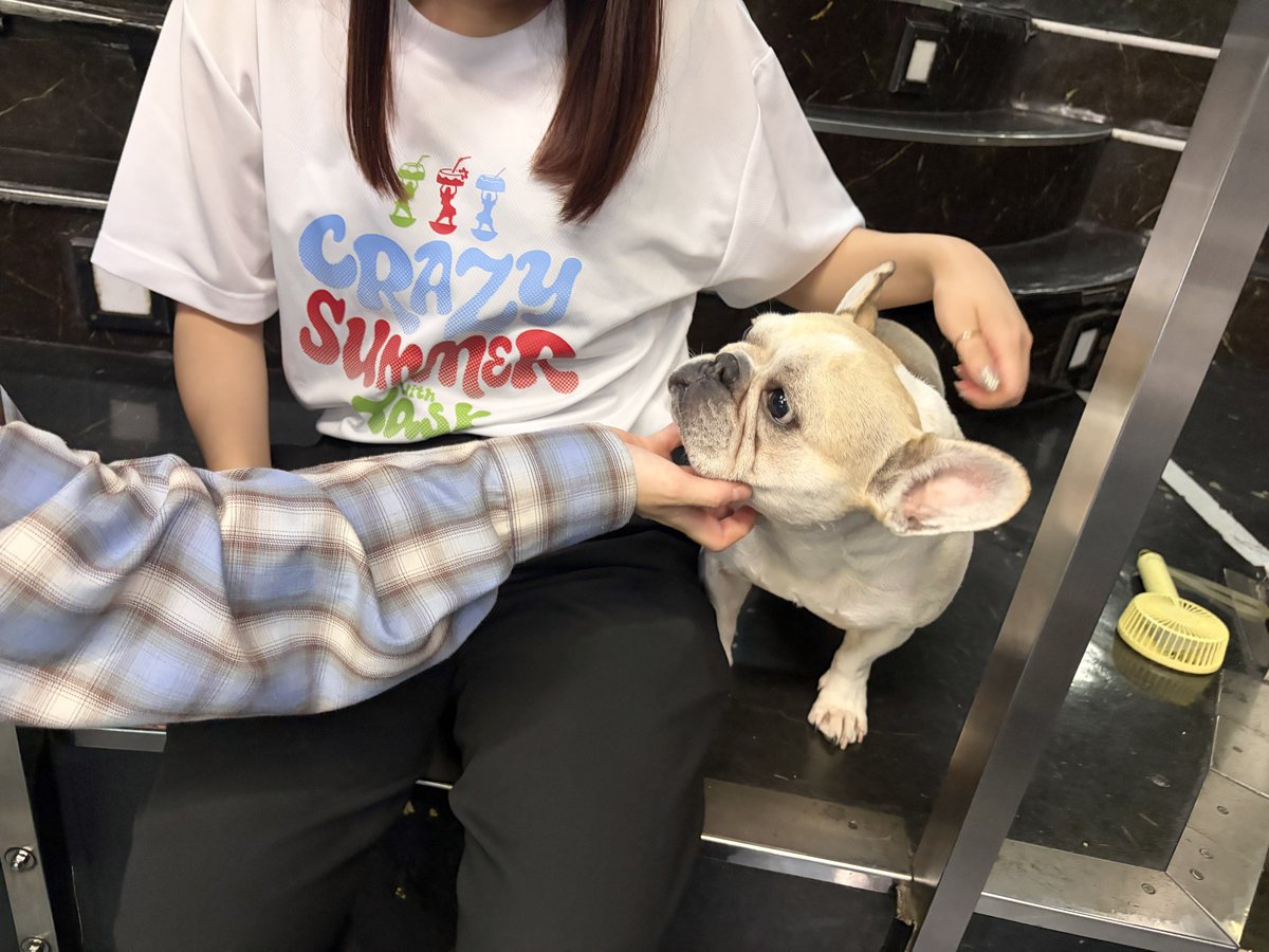 _mmm_f's tweet photo. 吉ちゃん招待ありがとう❣️愉快な女オタクに久々会えてうれしかった！相変わらずこわいひとたちだった！風花ちゃんかわいかった！ https://t.co/H7uWrpPWxP