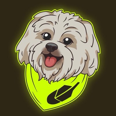 torocontraoso's tweet photo. @theunipcs $BRODIE hands down.  The dog of Robinhood - and you definitely know about meme dogs on different chains. https://t.co/6ipjNQuDat