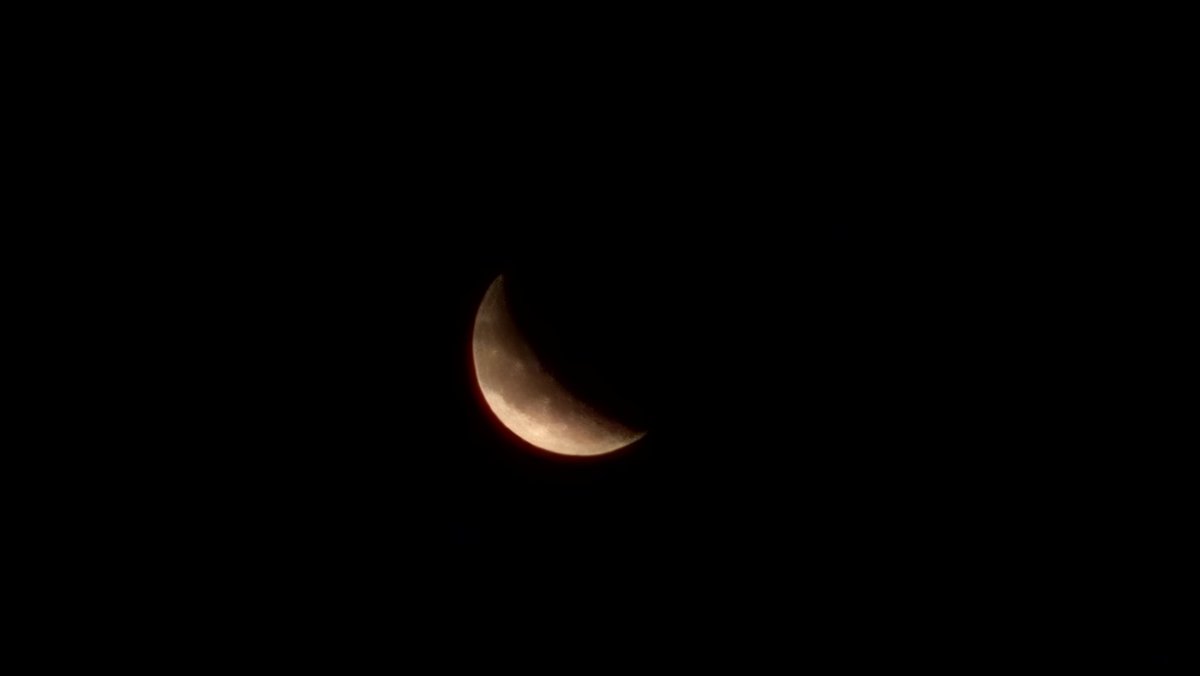 ncis_e_life's tweet photo. おやすみなさい🌘 https://t.co/jvTwaFWi6B