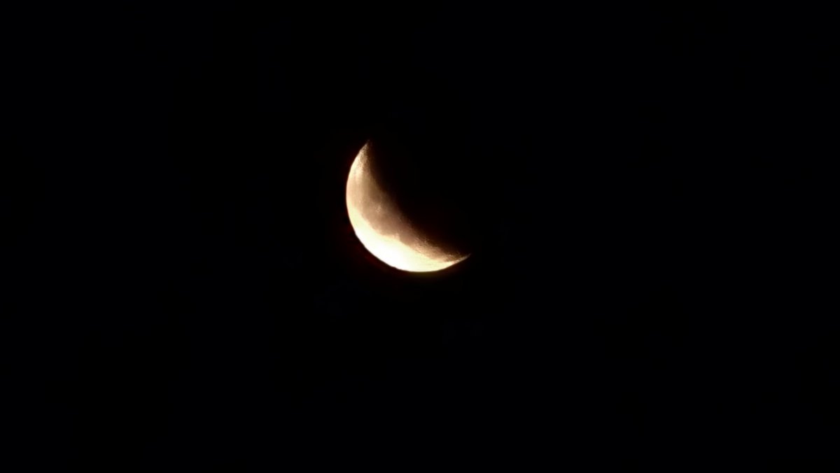ncis_e_life's tweet photo. おやすみなさい🌘 https://t.co/jvTwaFWi6B