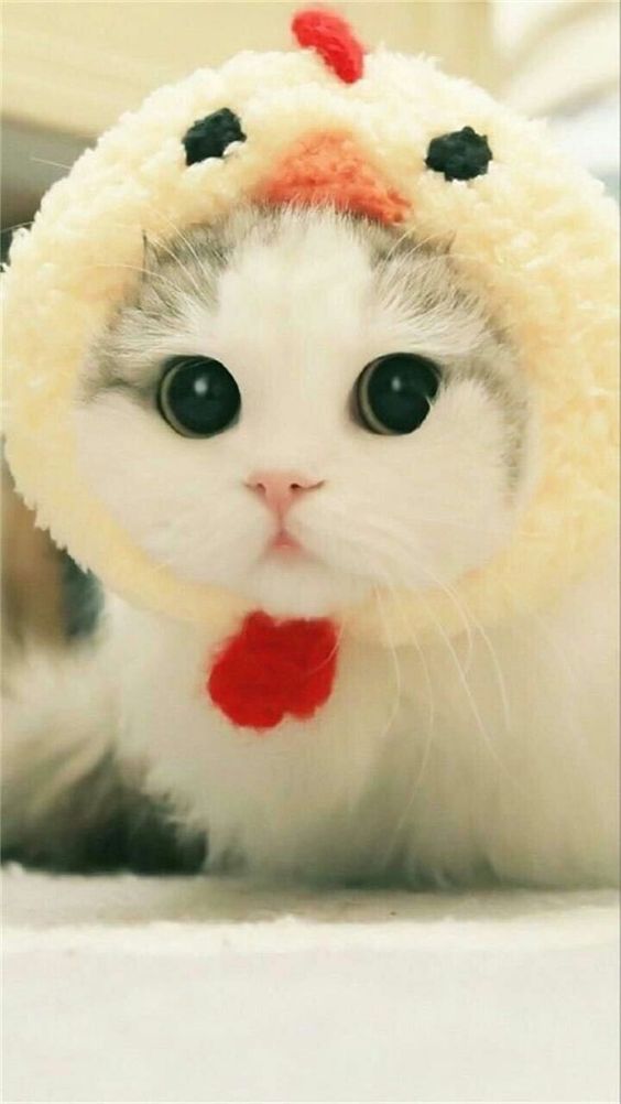 LagsManuel's tweet photo. Proof of Stake relies on economic incentives to secure the network. https://t.co/BBSTMuBUai