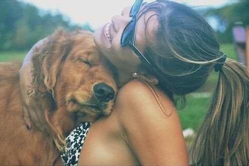 Neonxzax's tweet photo. Dog slut 🔥💯
https://t.co/B64yYXAXQE
#Dogs https://t.co/OYAVpVWeAE