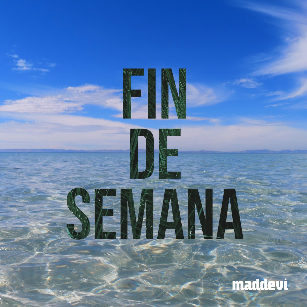 maddevi's tweet photo. ¡Inicia el Fin de Semana con la mejor actitud!

https://t.co/OLwrCI8EV7 https://t.co/aYlEBWhkXZ