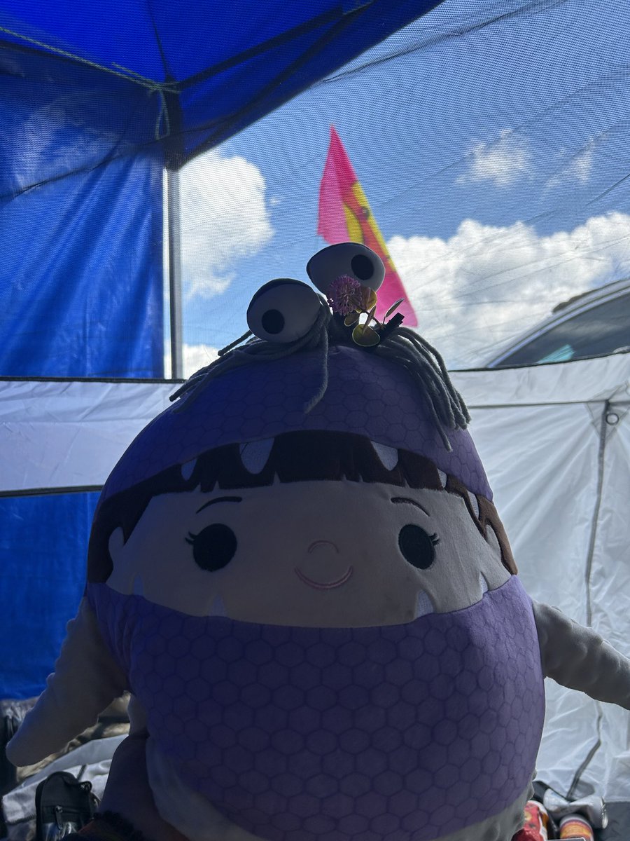 maddi1599's tweet photo. after arguably the most intense travel day/camping set up possible yesterday and then sending it straight to wankdat, we are settled 🌥️ happy elements! https://t.co/XMFdmvzTkF