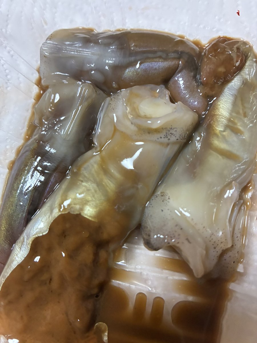LTJsaito tweet picture
