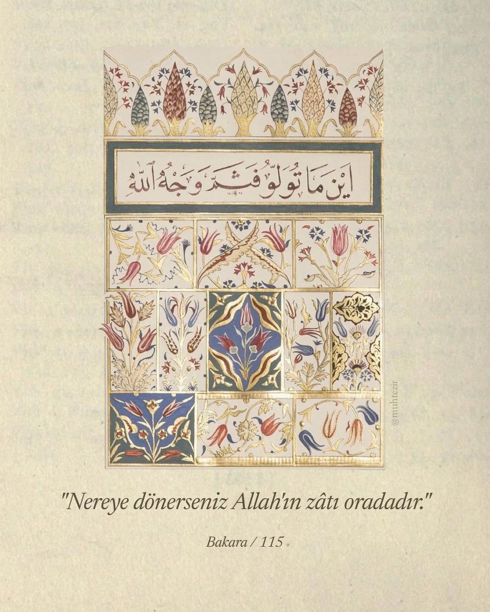 muhtezir's tweet photo. https://t.co/iklak4cl3Y