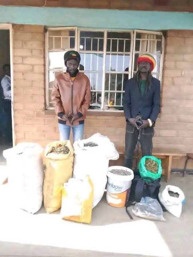 Malawi_265's tweet photo. A board member of the Cannabis Regulatory Authority, Ras David Chikomeni Chirwa, has been arrested in Mzimba for allegedly being found in possession of cannabis. https://t.co/GVvPT8wOyU