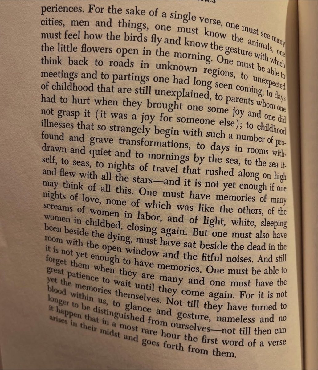 aliner's tweet photo. For it is not yet the memories themselves.

- Rilke on love and other difficulties https://t.co/6aZ21AkCzy