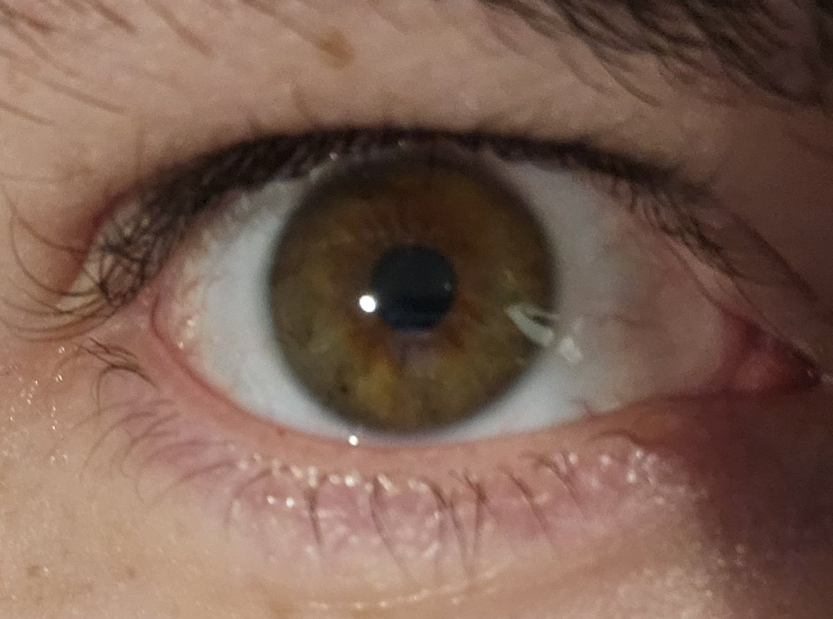 pancakescore's tweet photo. I can see your soul and it looks delicious https://t.co/SYPScPlKvL