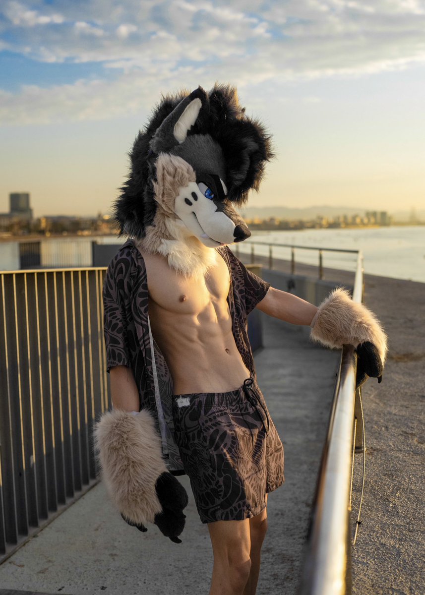 PalaceWolf_'s tweet photo. Before you meet me 😇

vs. 

After you meet me 😈 https://t.co/CLGLygKb7b