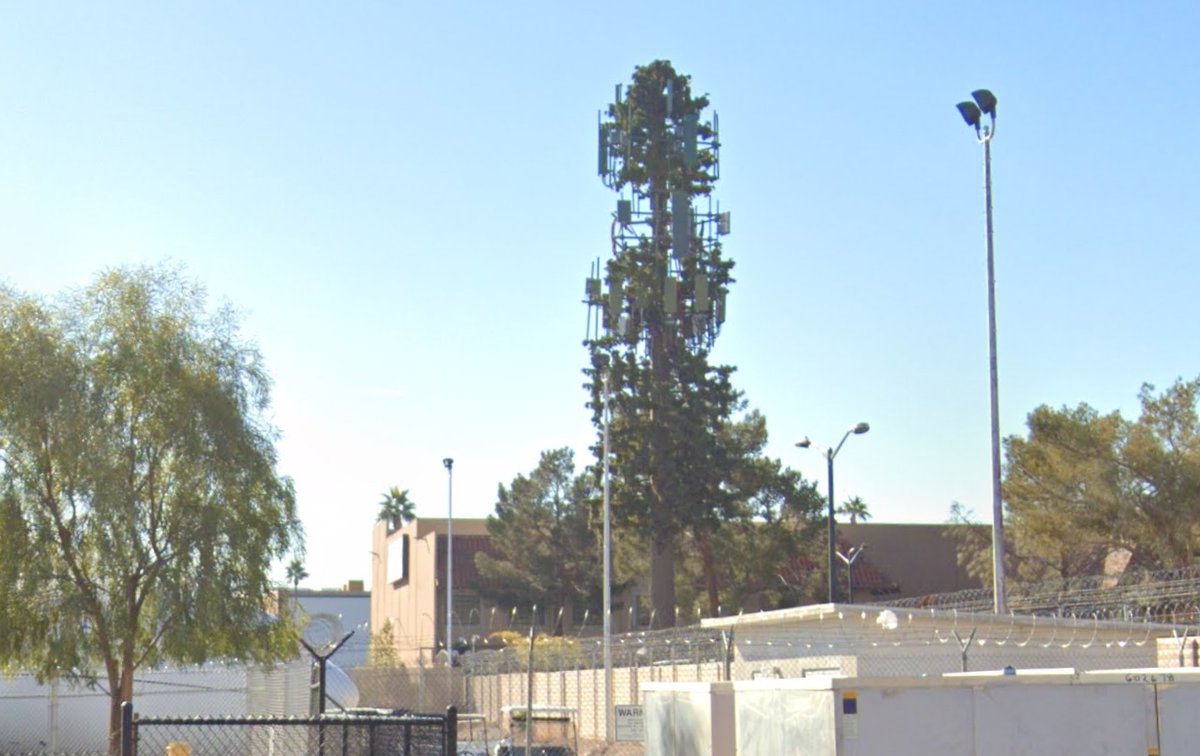 GODSTRUTH24's tweet photo. @Ryan_r_Williams A TREE IN LAS VEGAS  = THAT VEGAS STRIP IS AM EMF  MIRCOWAVE CITY https://t.co/1Zxz7qI1PL