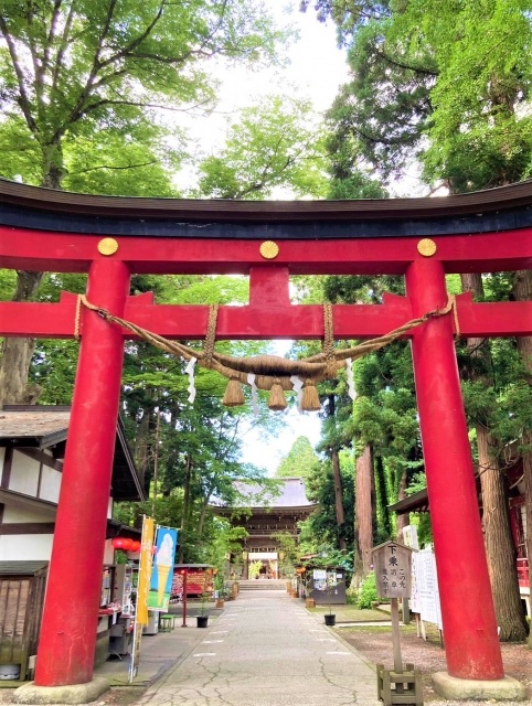 aizu_story's tweet photo. ⛩️✨会津には、約2,000年もの歴史を刻む神社があることをご存じですか？

会津美里町にある

「伊佐須美神社」

は、会津の総鎮守として古くから人々に親しまれてきた由緒ある神社🌿

四季折々の美しい景色に包まれ、春の桜🌸、初夏のあやめ💜、秋の紅葉🍁など、訪れるたびに違った表情を楽しめます😊

境内をゆっくり歩くと、街の喧騒を忘れて心がすっと落ち着くような不思議な時間が流れます✨

歴史や文化に触れたい人はもちろん、パワースポット巡りや写真撮影が好きな方にもおすすめ📸

会津を訪れたら、ぜひ足を運んでほしい場所のひとつです🍃

あなたも、約2,000年の歴史が息づく空間で、心癒されるひとときを過ごしてみませんか？😊⛩️