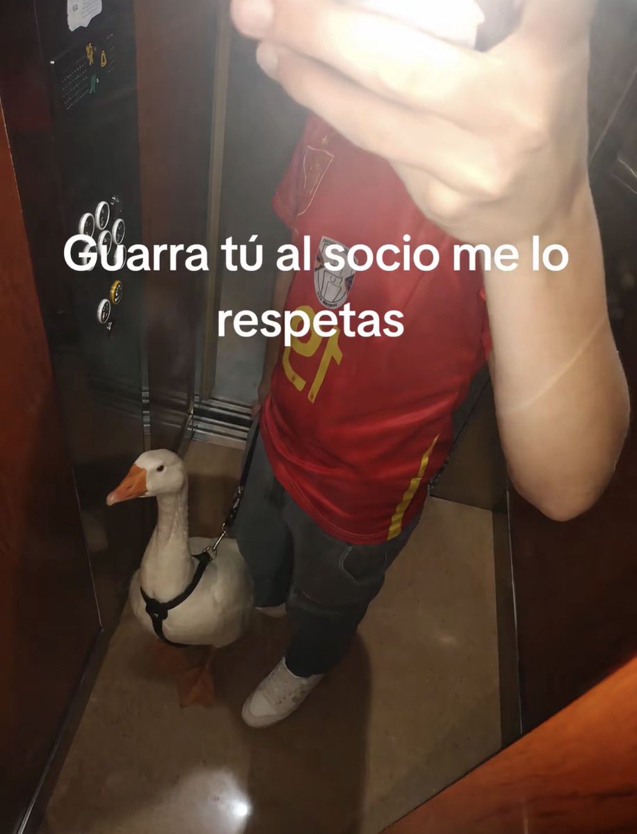 morodelsur's tweet photo. Esto tiene que ser mentira https://t.co/QmTOhsKC5d