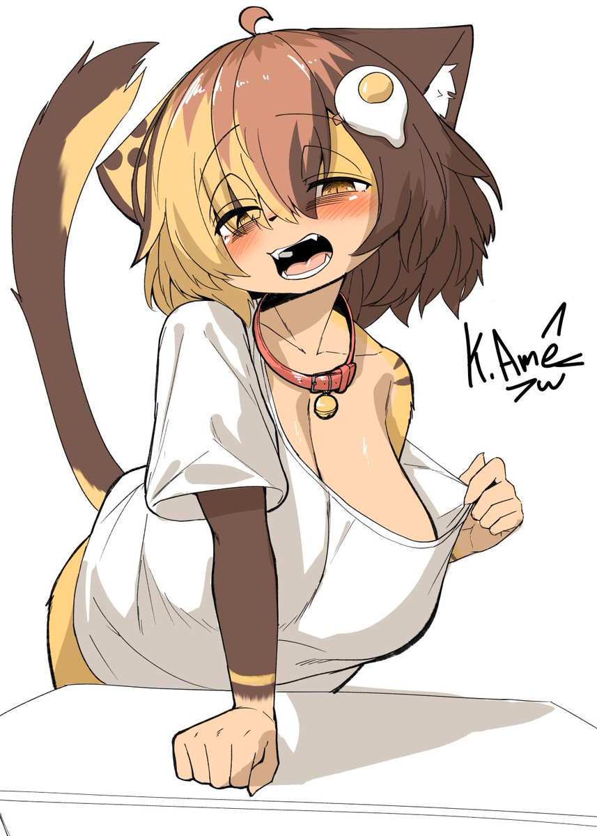 kagarimachi_ame's tweet photo. 配信で描いた三毛猫ちゃん！！！ https://t.co/qGrlbBv8Iv