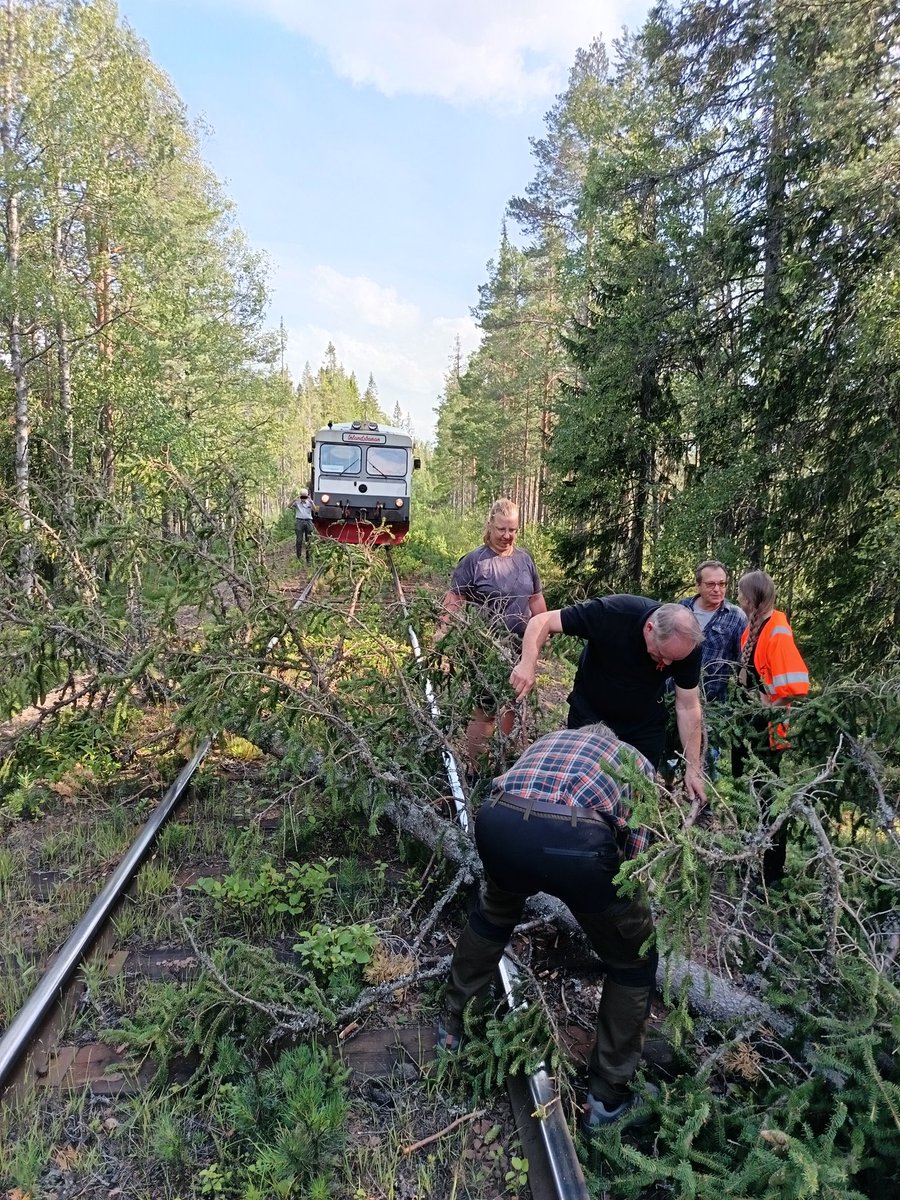 psilva222's tweet photo. When you are traveling on a train and there is a tree in the middle of the tracks... just have to cut It. Enjoy Inlandsbanan in Sweden @InlandsbananAB #railfans #trains https://t.co/Gz29wkSEtw