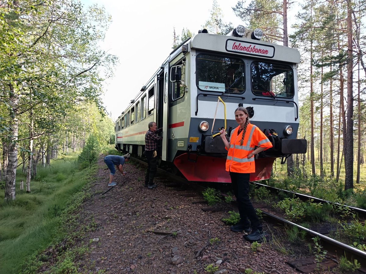psilva222's tweet photo. When you are traveling on a train and there is a tree in the middle of the tracks... just have to cut It. Enjoy Inlandsbanan in Sweden @InlandsbananAB #railfans #trains https://t.co/Gz29wkSEtw